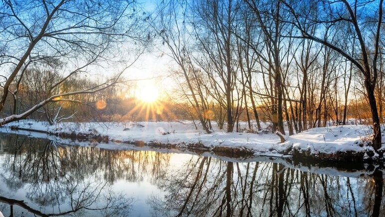 Winter Wonderland Header