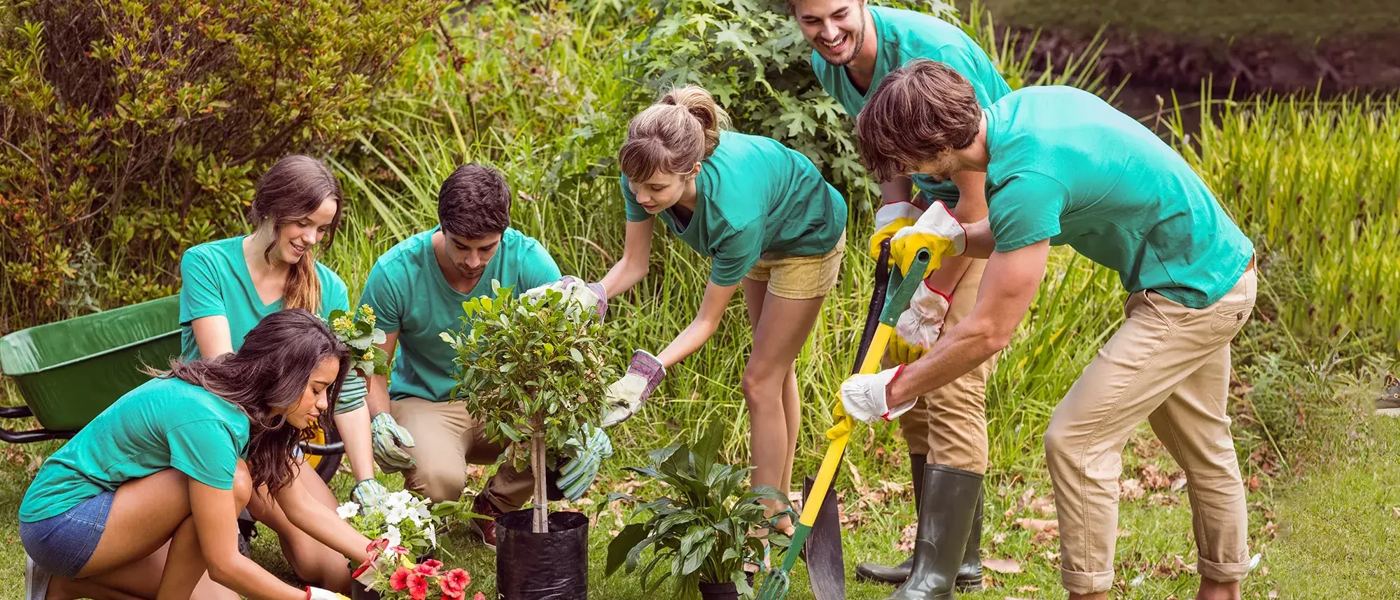 Group of people planting flowers in community cleaning up team building event