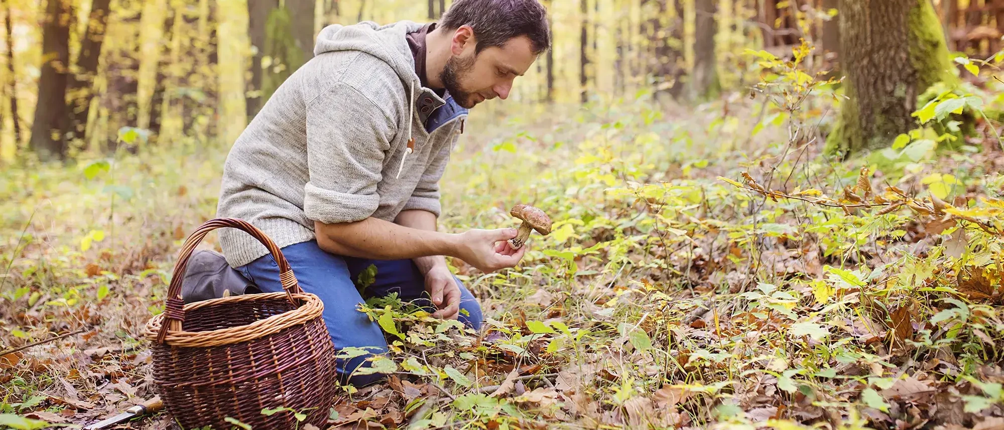 man in forest with basket foraging for wild mushrooms in foraging experience team building activity