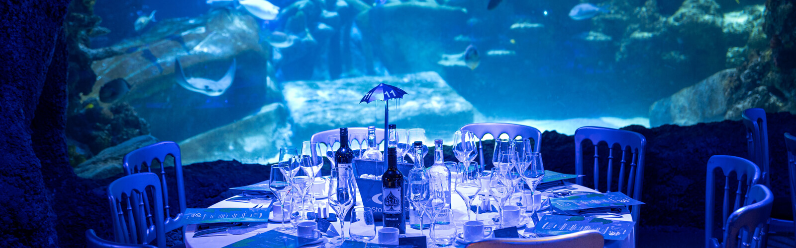 sealife london corporate event and team building venue