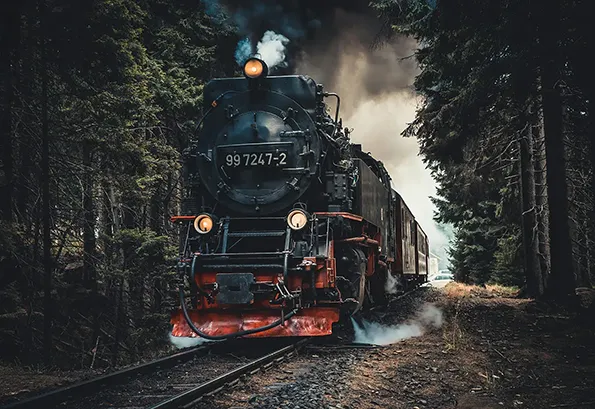 Train in the forest