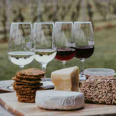 Virtual Cheese & Wine Tasting Wines & Cheeses