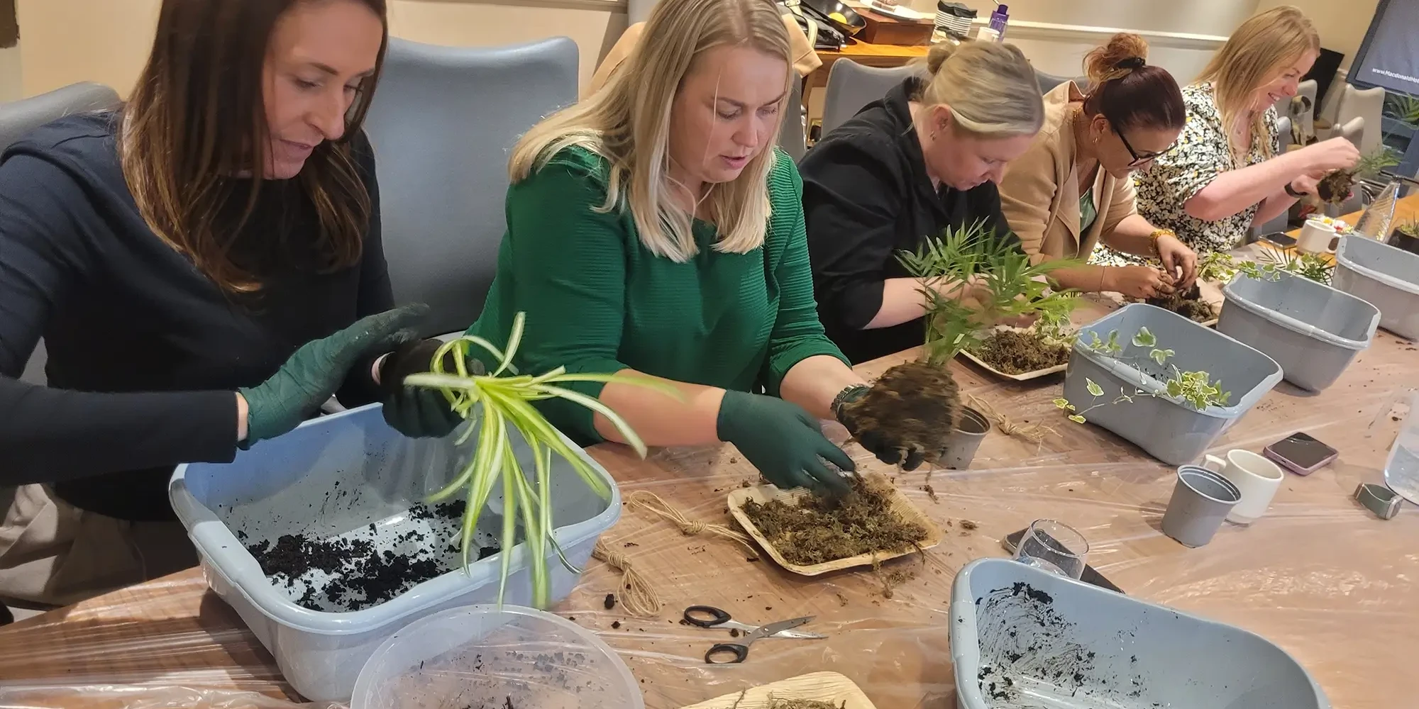 Women creting kokedama art in team building activity
