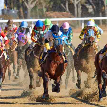 Virtual Horse Racing Horses