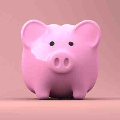 Pink Piggy Bank