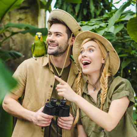 Virtual I'm a celebrity people in jungle